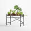 Wixon roulant en métal avec roues, table de présentation robuste pour plantes d'intérieur / extérieur