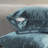 Shiny Velvet Pillow Cover-93563657-93563630-93563651