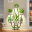 Plant Stand