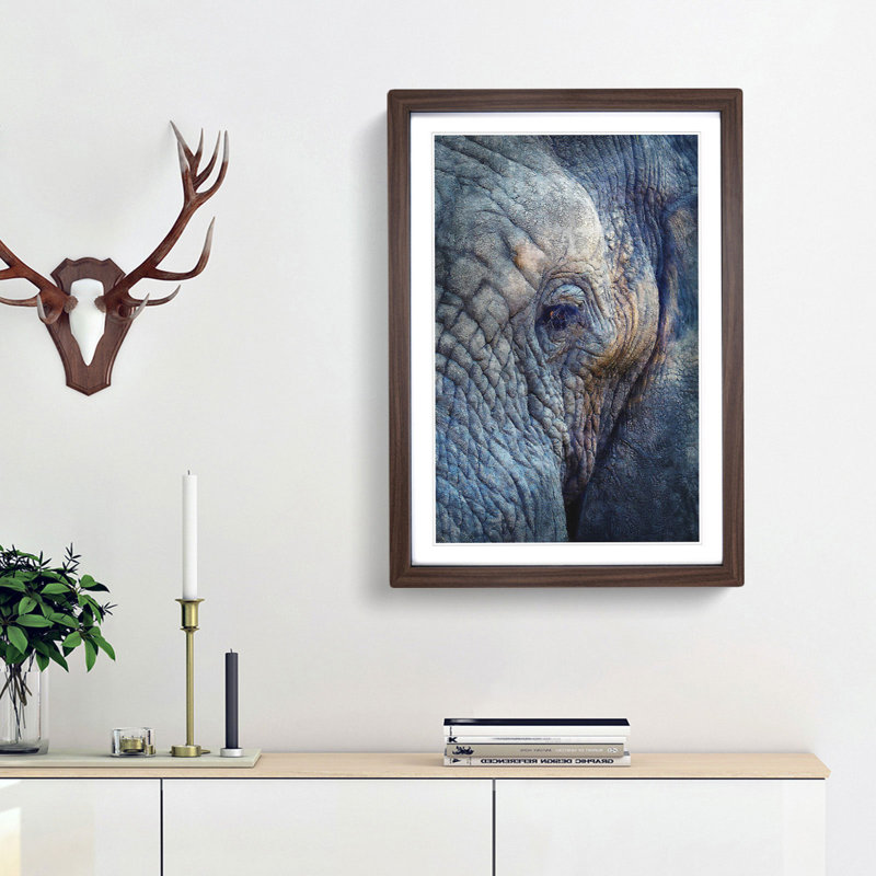 Blue Elephant - Picture Frame Photograph Print, 63cm H x 45cm W x 2cm D, Walnut Framed