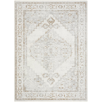  Astra Machine Washable 4' x 6' Grey Vintage Indoor Rug