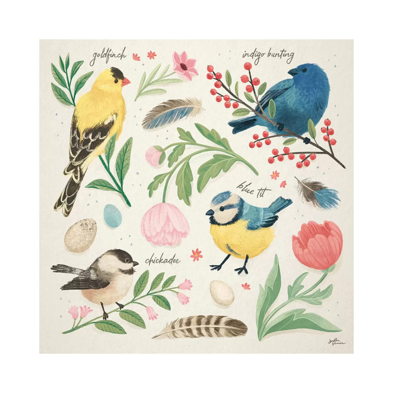 Bird Study II by Janelle Penner - Print on Canvas, Wrapped Canvas, 66.04cm H x 66.04cm W x 3.81cm D