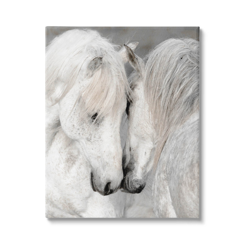 «Hugling Horse Duo Wildlife» par Danita Delimont, H 40 po x l 30 po x P 1,5 po