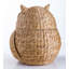 Bayou Breeze Water Hyacinth Decorative Basket
