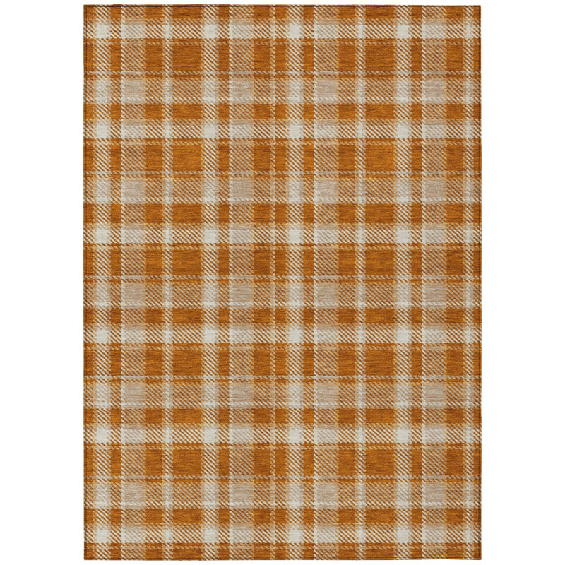 Washable Plaid Indoor / Outdoor Rug, Rectangle 3' x 5'