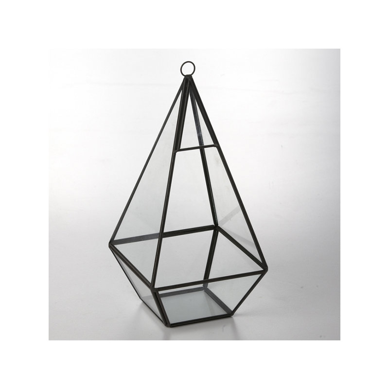 Terrarium en verre Debrah, Transparent/noir