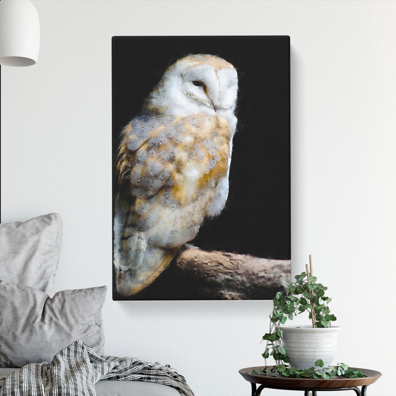 Barn Owl Vol.3 - Wrapped Canvas, 50cm H x 35cm W x 3cm D