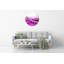 Judon Glass Wall Clock