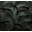 Superfresco Easy Palm Silhouette Print To Order Mural-101929243-101929241