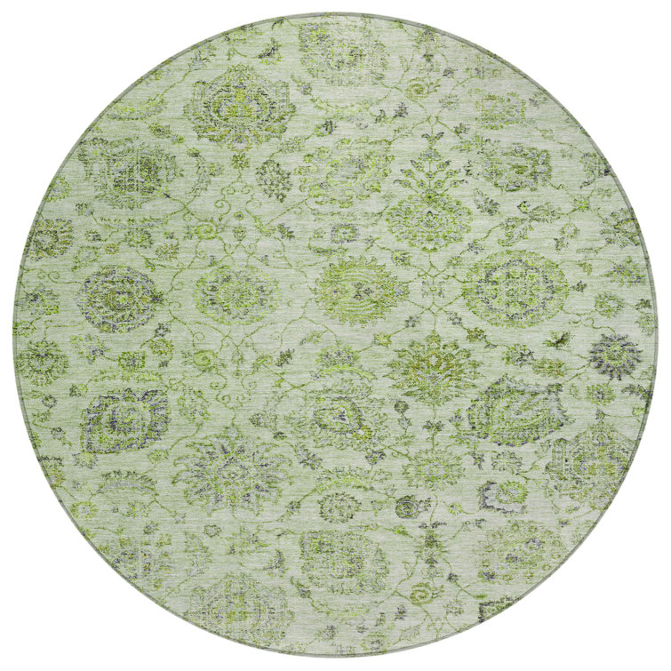 Machine Washable Indoor/Outdoor Xhevrie Aloe Rug