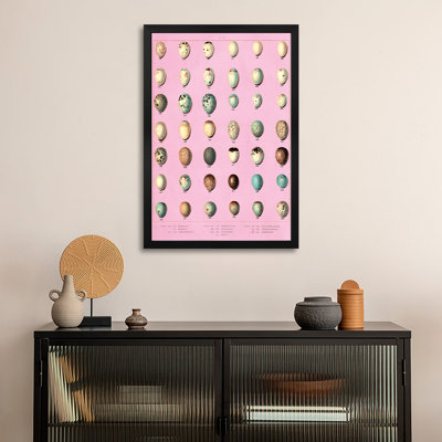 Sparrow and Finch Bird Eggs Premium Framed Posters