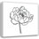 «Latitude Run® Scarvey, Emma», art sur toile tendue: Peony Contour I