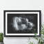 Lone Horse - Picture Frame Graphic Art-62802573-62802574