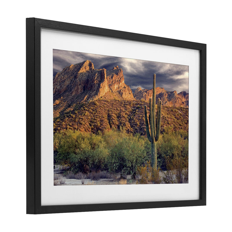 «Tall And Strong Cactus View», reproduction encadrée sous verre, conception de Mike Jones, H 14 po x l 20 po
