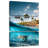 Brampt Land And Sea Turtle-106821206