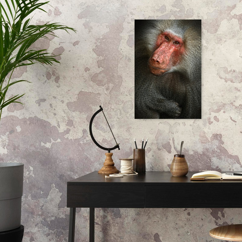 Baboon Contemporary Monkey Portrait Architecture Wall Art Print 1 Piece Wrapped Canvas Wall Art, 60.96cm H x 40.64cm W