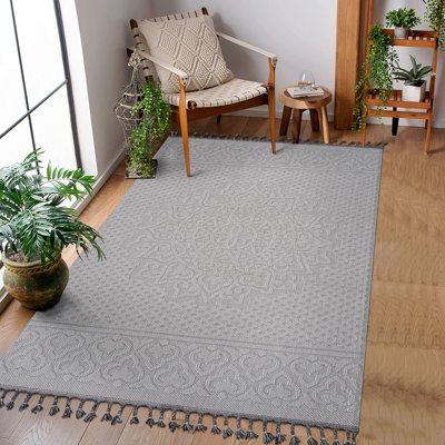 4X6 Indoor/Outdoor Area Rug