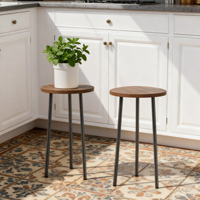 Ensemble de 2 plantes Mid-Century Modern