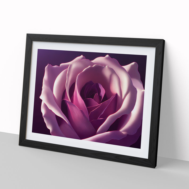 Dazzling Rose Flower - Framed Print, Black Framed, 46cm H x 64cm W x 2cm D