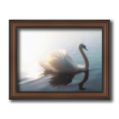 Swan apporte la lumière par Hal Halli. Impression sur papier - Montée et encadrée
