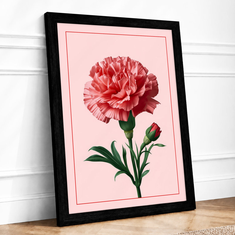 Pink Carnation Botanical - Framed Print, Black, A3 - 42.0 x 29.7 cm