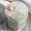 Coquillage moderne
 Table de bout