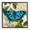 Ailes de papillons éblouissantes, motif floral doré, HollyDaphne Polselli