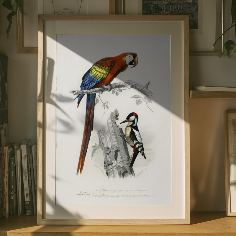 Wrapped Canvas Print, 91.44 cm H x 60.96 cm W