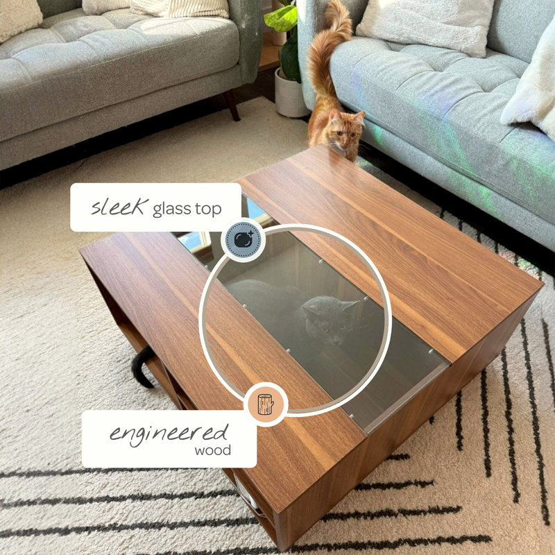 Coco Coffee Table, Oak, Tan