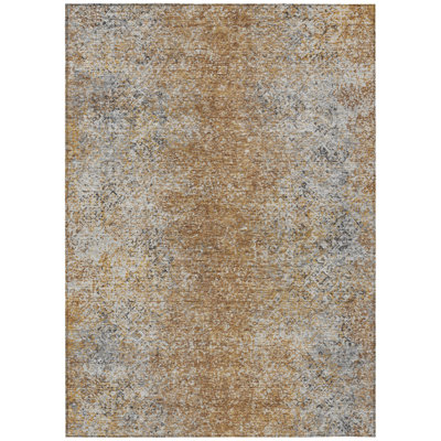 Tapis d'extérieur lavable 10 pi x 14 pi en terre cuite argent et charbon oriental