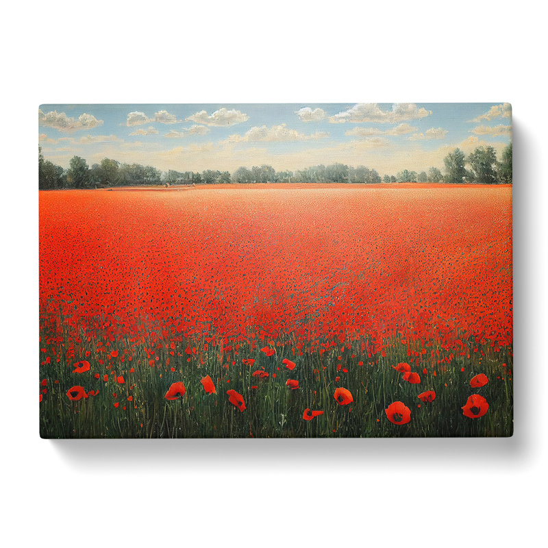 Distinguished Poppy Field Flowers - Wrapped Canvas, 40cm H x 60cm W x 3cm D