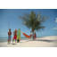 Paradiso Family Hammock-36368759