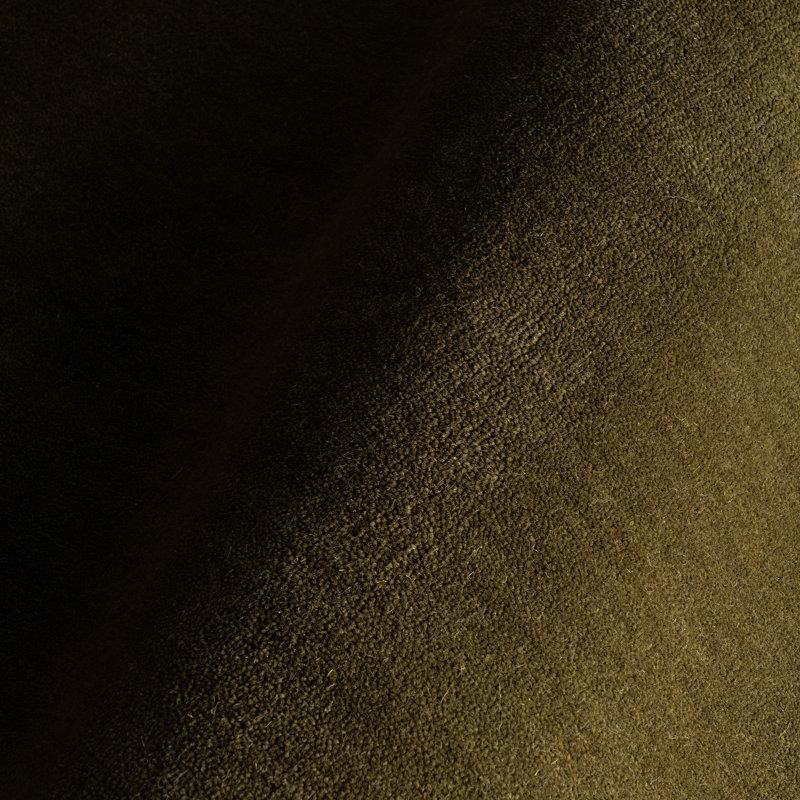 Gania Modern Green Rug, Rectangle 4' x 6'