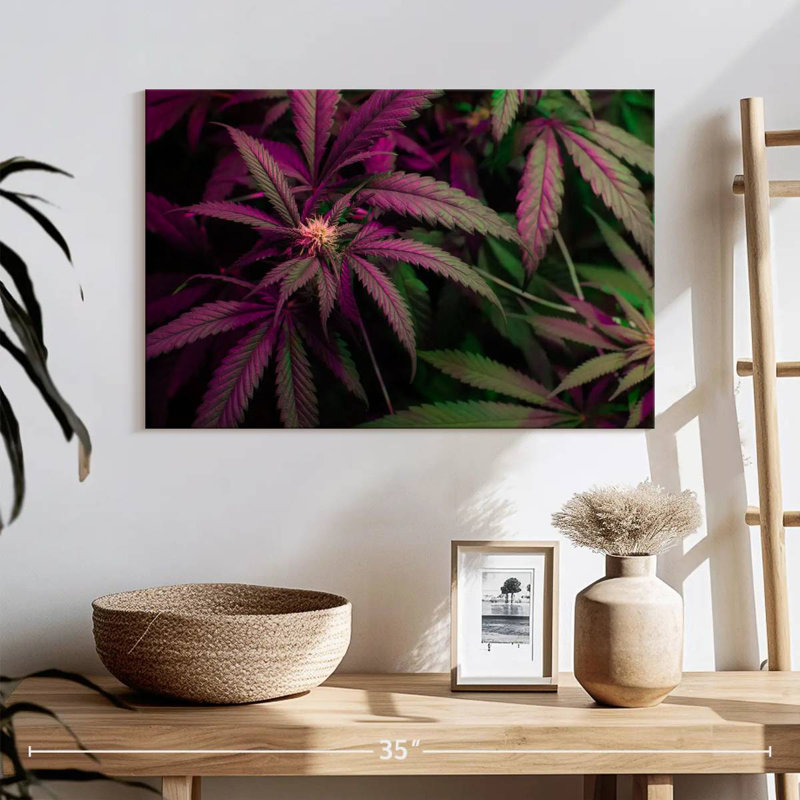 Lavander Marijuana, 16" H x 24" W