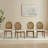 Katia 4-piece Upholstered Cane-back Dining Chair Set