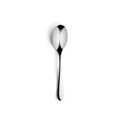 Ensemble de 12 cuillères à dîner en acier inoxydable Prantij | 8 po, argent