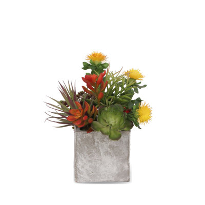Arrangement floral mixte en pot