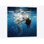 « charme », impression sur toile-29277660