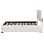 Lit plateforme double tapissier double avec 2 tiroirs et lit gigogne, beige, tête de lit classique, fabrication robuste en contreplaqué, maximisant l'espace dans la chambre à coucher, pratique pour assembler la taille stable et le contreplaqué, augmentant