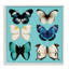 Six différents papillons sur fond turquoise, estampe numérique, design par Metka Hiti-1428303645-1428303647