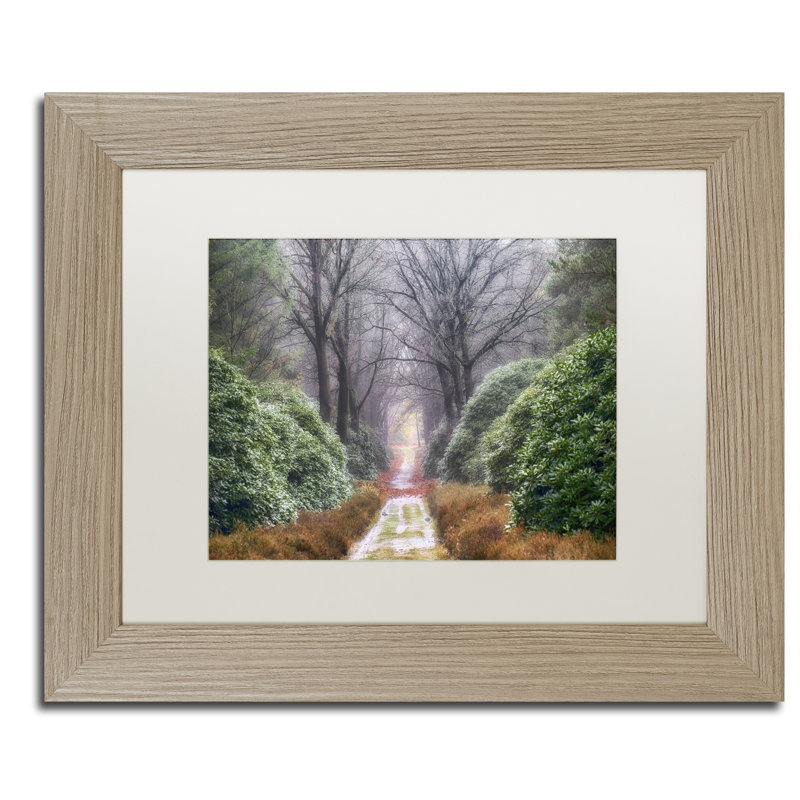 « rhododendron lane », reproduction de photo sur toile encadrée, H 11 po x l 14 po x P 0,5 po, Brun