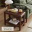 Table d'appoint en bois massif à 2 niveaux pour le salon, table de bout en noyer rustique avec tablette de rangement, support pour plante en bois d'hévéa