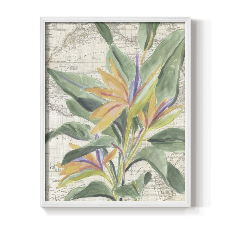 «Map Flora II», reproduction encadrée - bois massif, H 11 po x l 9 po, Blanc