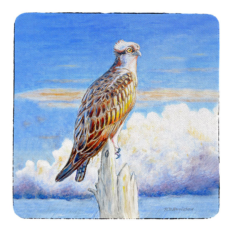 Square 4 Piece Coaster Set
