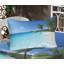 Drap-housse et coussin décoratif Ambesonne-106789297