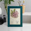Cactus antique III, impression sur papier-881012499-881012501