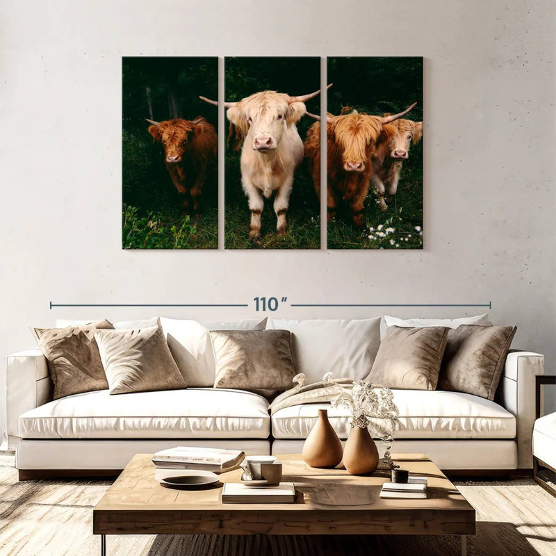 Light Haired Highland Cows, 48" H x 74" W