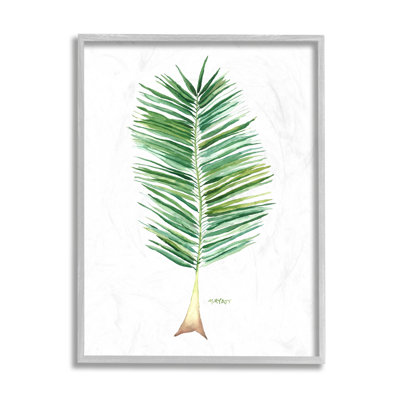 Verdure de cocotier sur fond blanc
