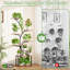 Plant Stand - Set of 10