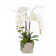 JennySilks Real Touch Orchid Floral Arrangement in Pot | Perigold